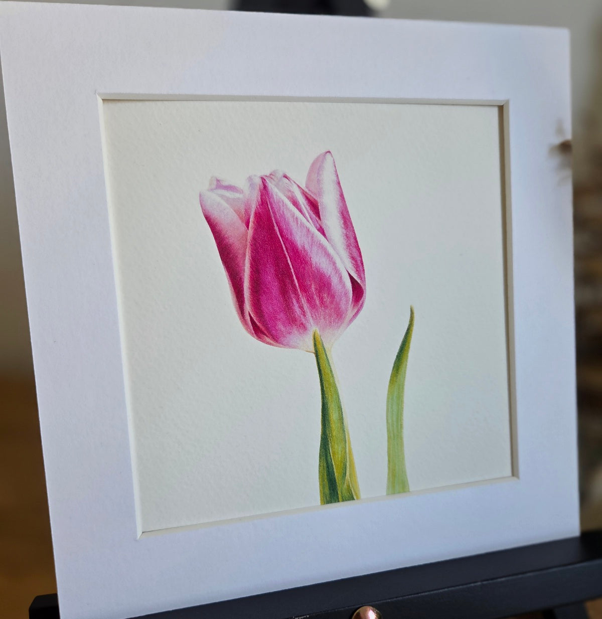 Tulip Art Print
