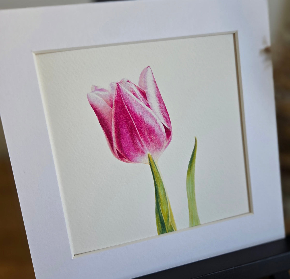 Tulip Art Print