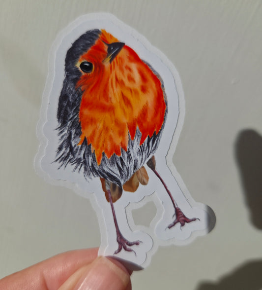 Handmade illustrated  Robin Sticker | Hand-drawn (digital) Illustration Art Sticker