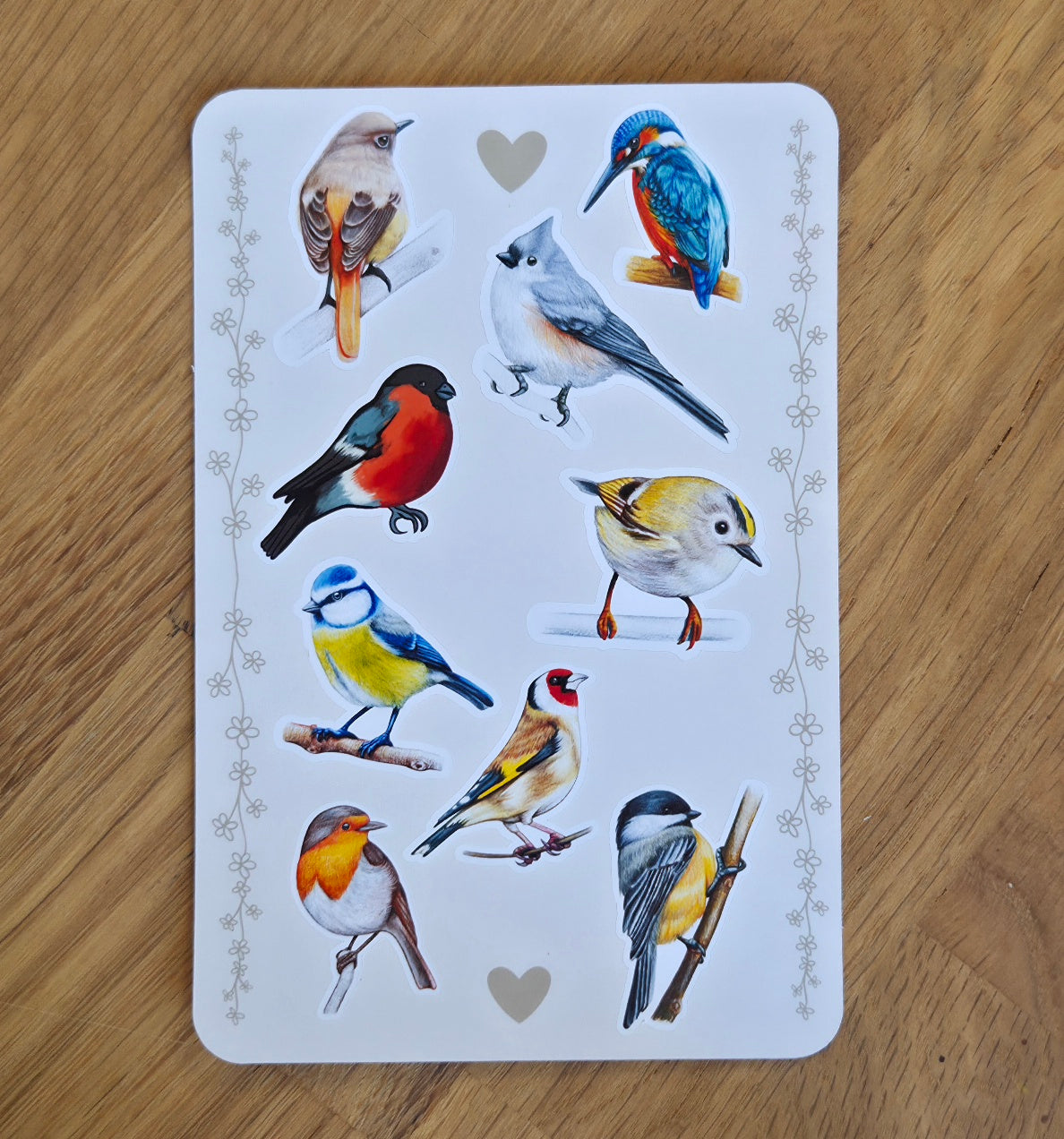 Set of 9 Bird Illustration Stickers | Digital Wildlife Sticker Sheet | Nature Journal Gift | Bird Lover