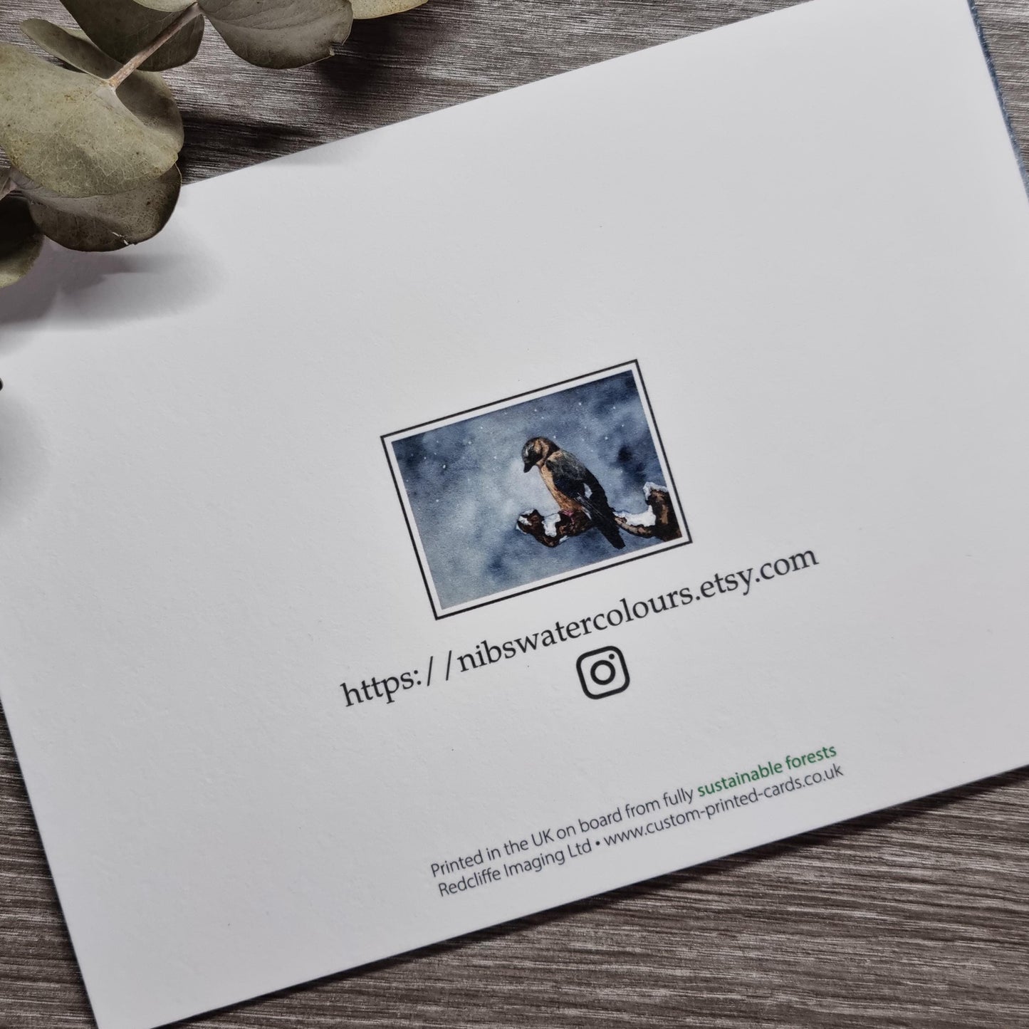Jay Bird Watercolor Christmas Card | Handcrafted Holiday Greeting