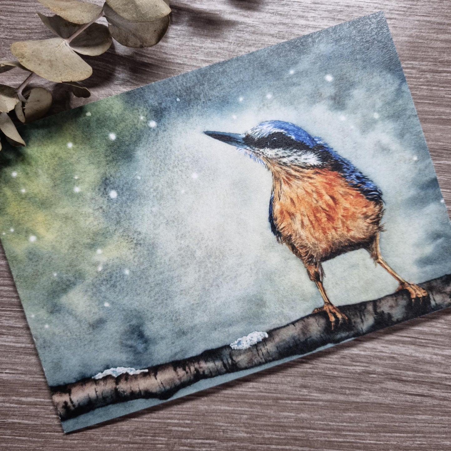 Watercolor Christmas Cards | UK Wildlife Art Print, Pack of 12