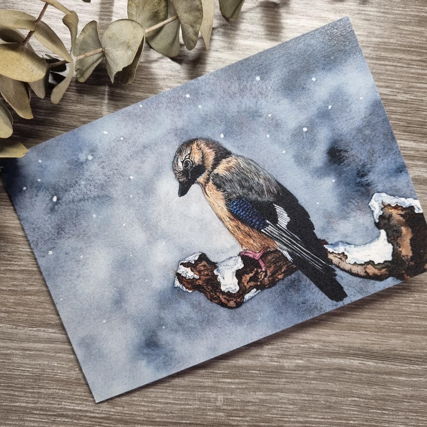 Watercolor Christmas Cards | UK Wildlife Art Prints, Pack of 6