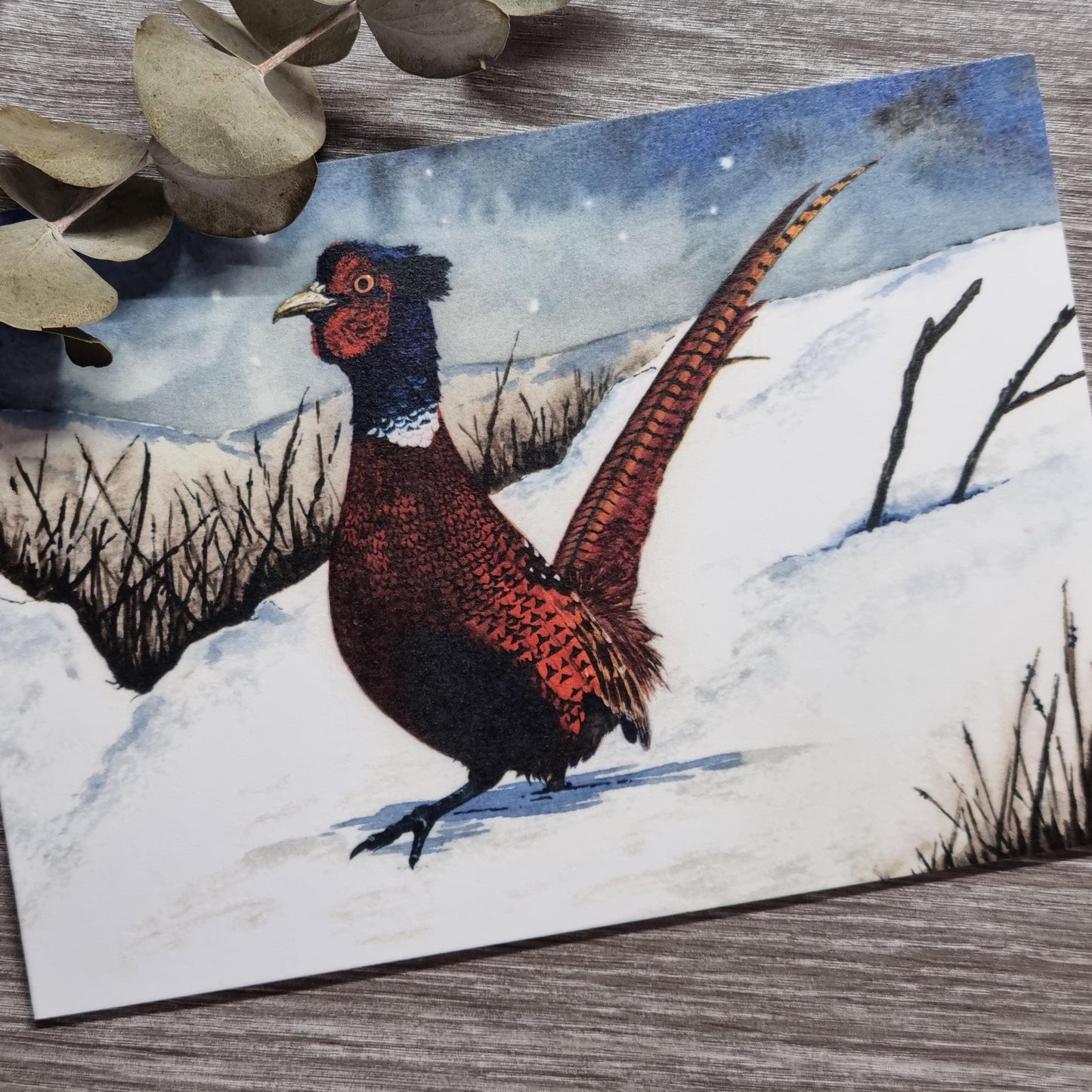 Watercolor Christmas Cards | UK Wildlife Art Prints, Pack of 6