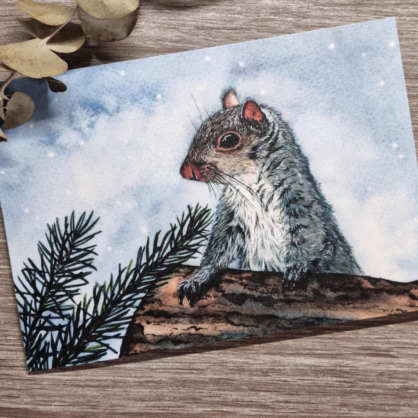 Watercolor Christmas Cards | UK Wildlife Art Print, Pack of 12