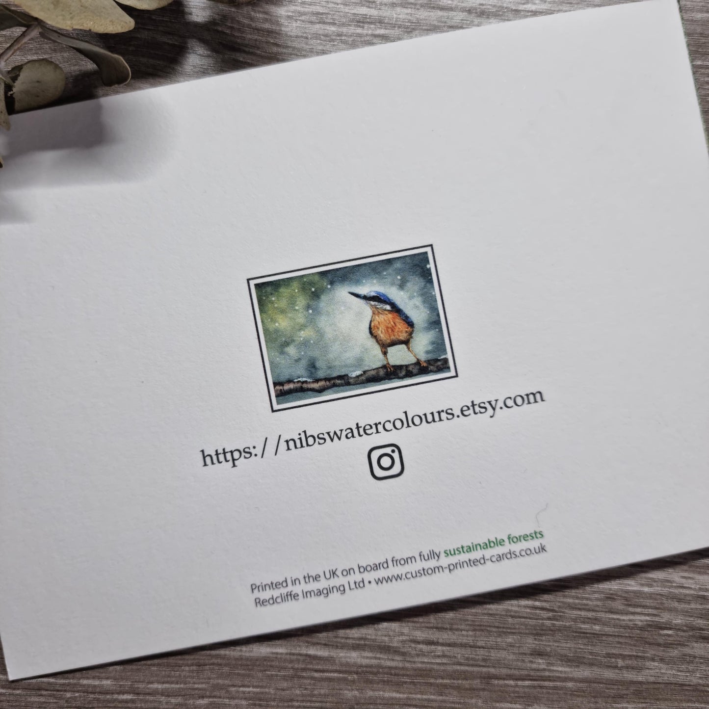Watercolor Christmas Cards | UK Wildlife Art Print, Pack of 12