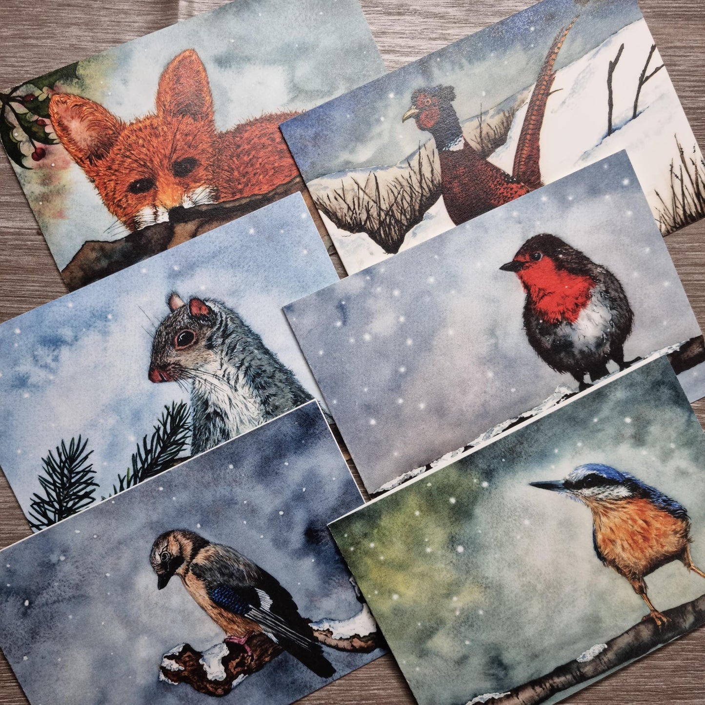 Watercolor Christmas Cards | UK Wildlife Art Print, Pack of 12