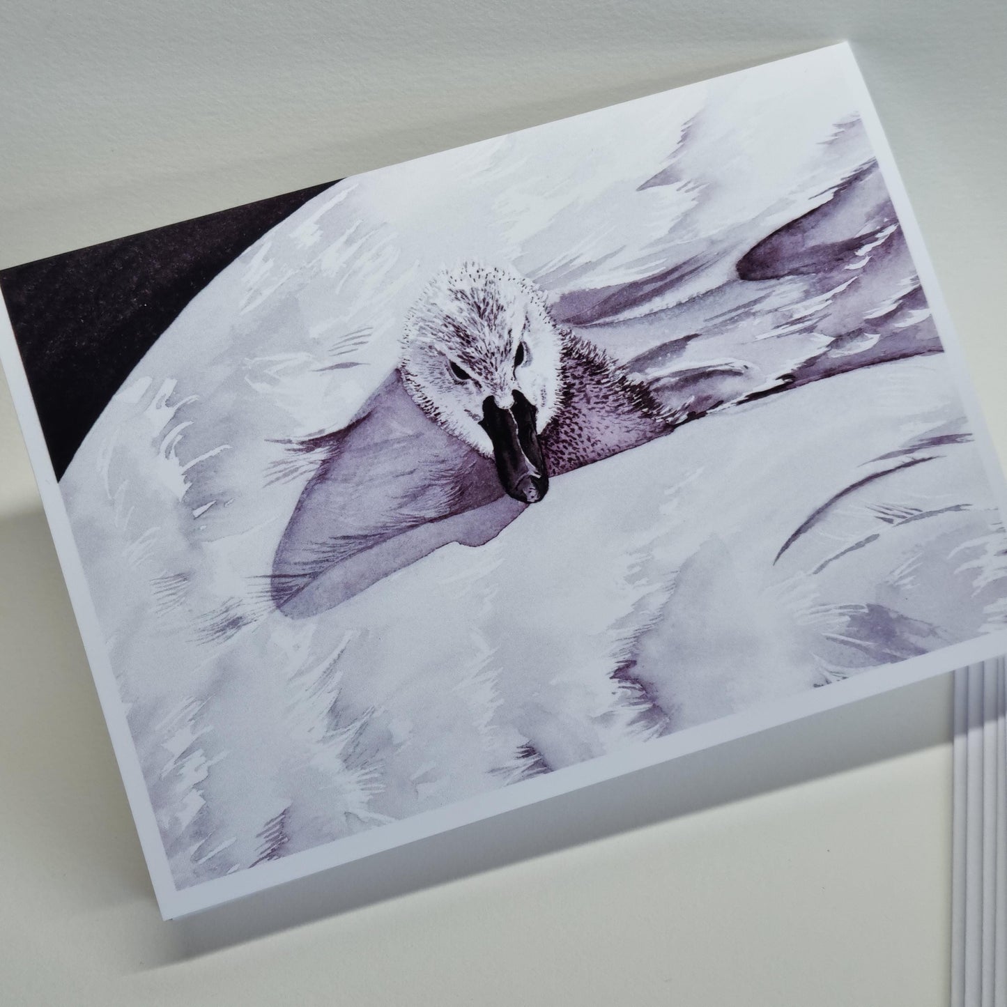 Swan Art Print Notecards - Handmade A6 Greeting Cards, Set of 6