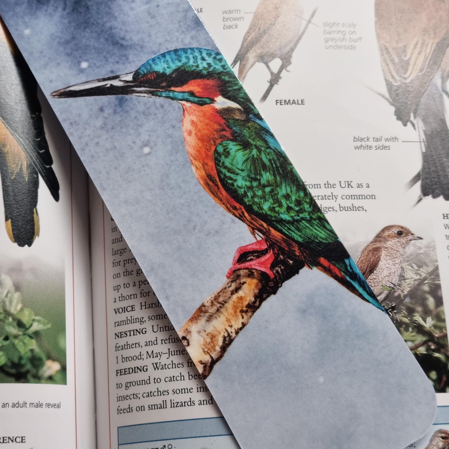 Handmade Kingfisher Bookmark | Watercolor Art Print, Nature Lover Gift | Laminated double sided